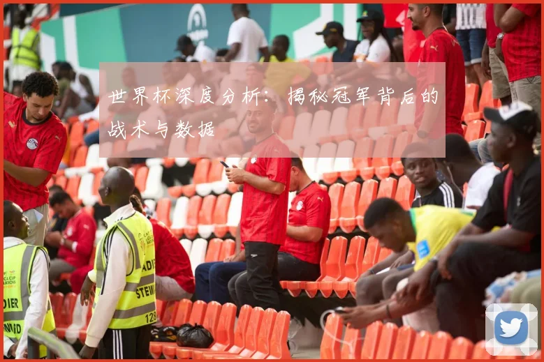 世界杯深度分析:揭秘冠军背后的战术与数据