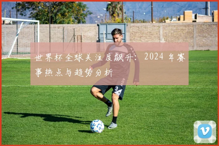 世界杯全球关注度飙升:2024 年赛事热点与趋势分析