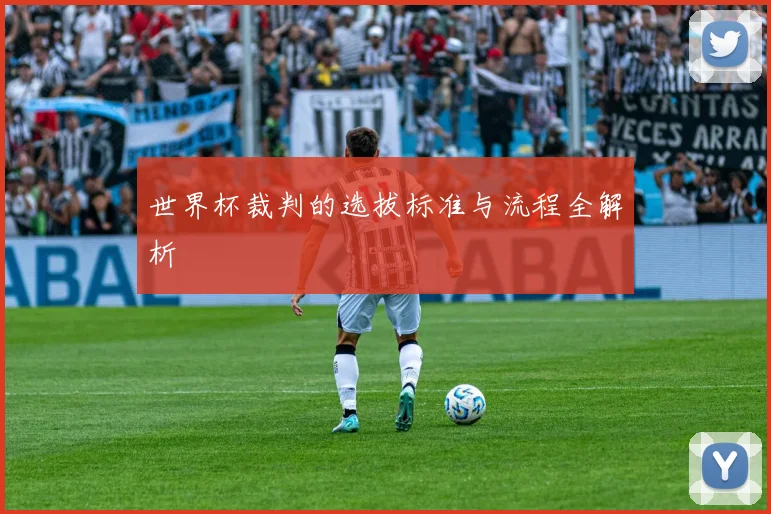 世界杯裁判的选拔标准与流程全解析
