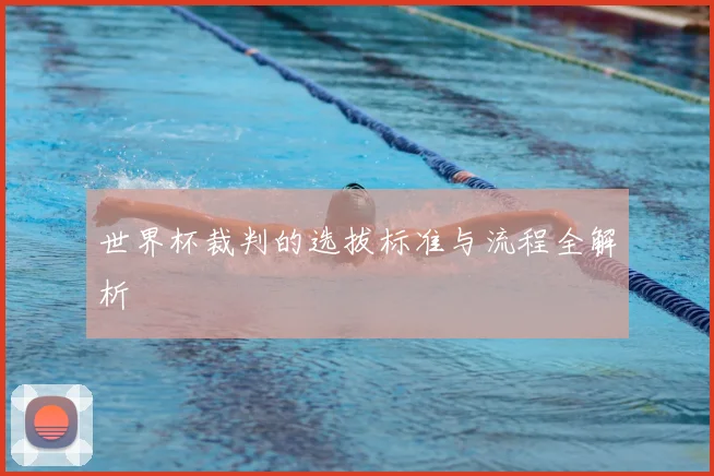 世界杯裁判的选拔标准与流程全解析