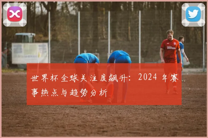 世界杯全球关注度飙升：2024 年赛事热点与趋势分析
