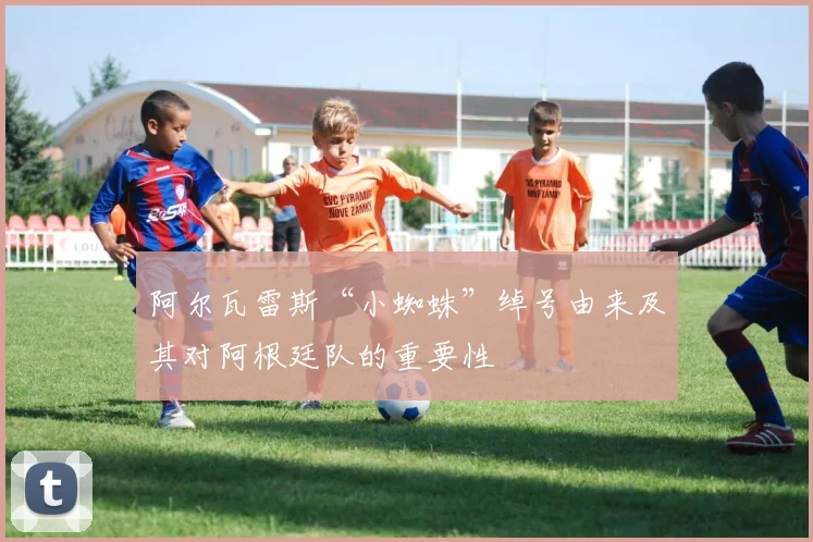 阿尔瓦雷斯“小蜘蛛”绰号由来及其对阿根廷队的重要性